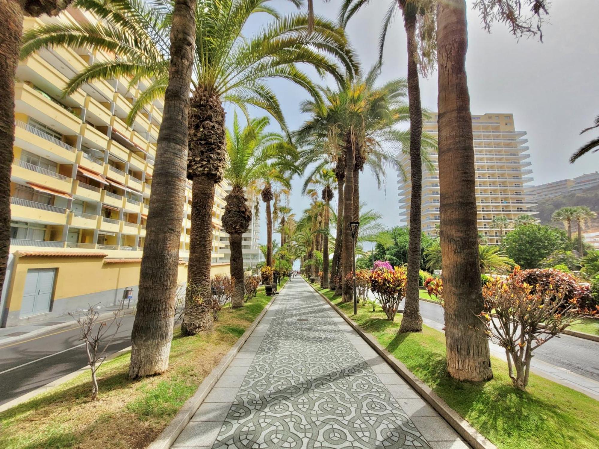 Alta Beachside Apartments Puerto de la Cruz  Eksteriør billede